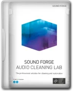 sound_forge_cleaning_lab.webp